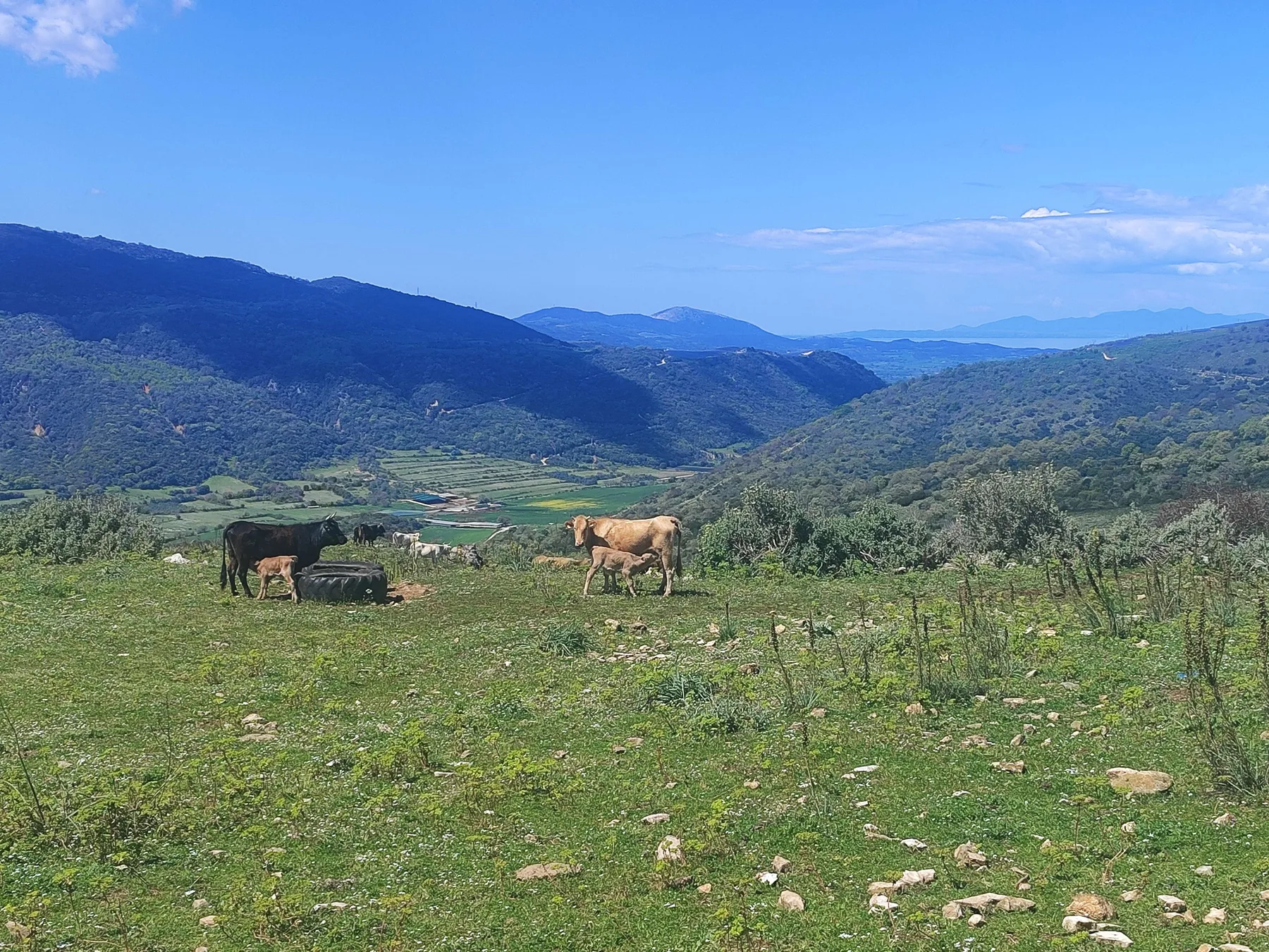 Ο βοσκότοπος και το τοπίο γύρω από τη μονάδα